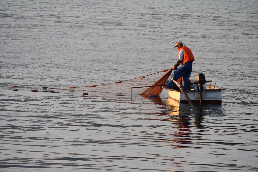 �o�b�^����