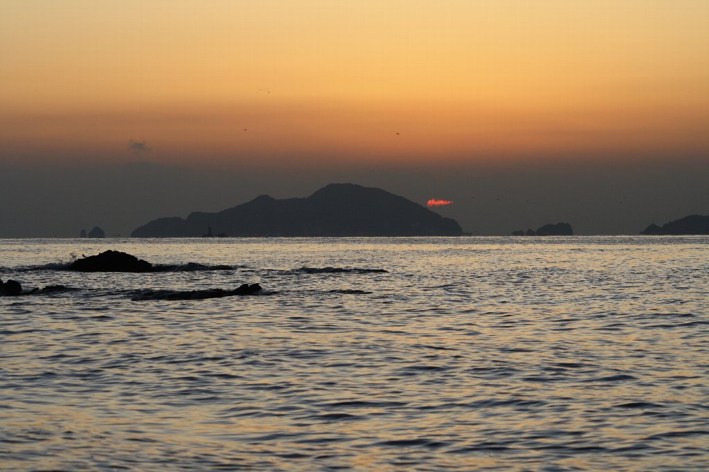 ���j���̒�_�P