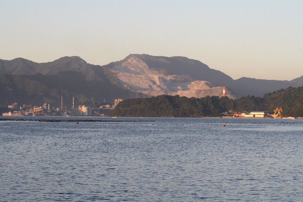 �Ӗ����R�ɉf���钩�z