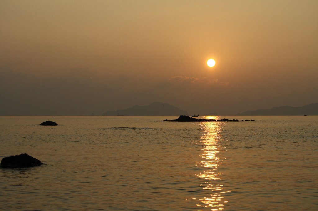 ���X������