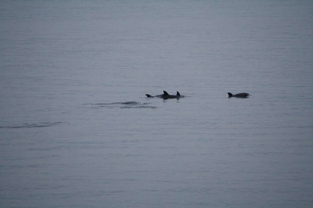 �C���J����