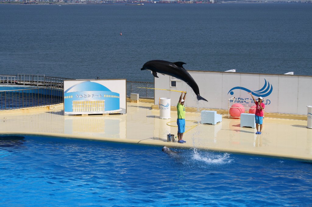 イルカ〜が 跳ん だ〜♪