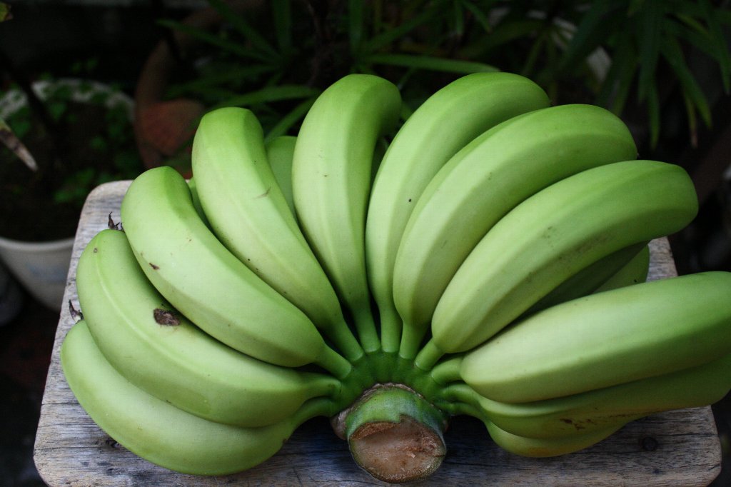 津久見産バナナ