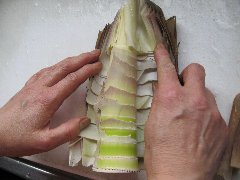 料理4