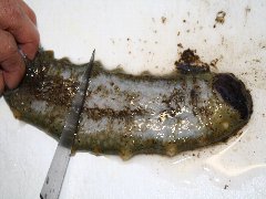 ヌメリをとる