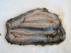 縦割りに切る