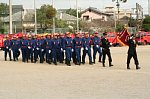 70113400.jpg
