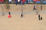70113506.jpg