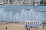 70113594.jpg