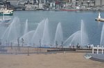 70113616.jpg