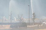 70113629.jpg