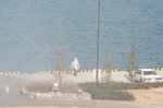 70113631.jpg