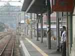 50225087.jpg