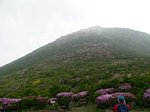 50607079.jpg
