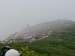 50607163.jpg