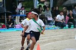 610010260.jpg