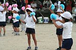 610010294.jpg