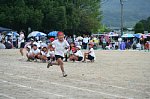 610011896.jpg
