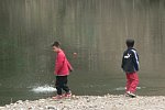 50320397.jpg