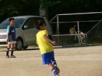 50520049.jpg