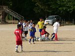 50520052.jpg