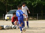 50520055.jpg