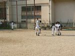 50520057.jpg
