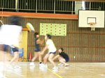 50520061.jpg