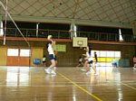 50520064.jpg