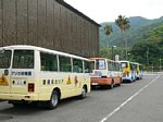 50524243.jpg