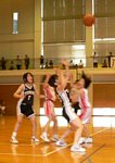 50620071.jpg