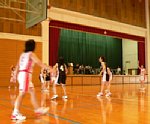 50620076.jpg