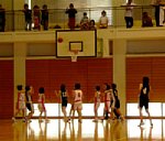 50620080.jpg