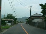 50626196.jpg