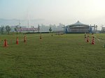 50716014.jpg