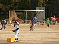 60217116.jpg
