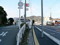 60218078.jpg