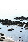60806340.jpg