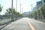 60806438.jpg