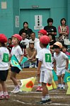 60917257.jpg