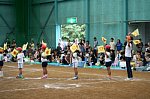 60917260.jpg