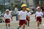 61003076.jpg