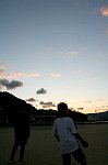 61025078.jpg