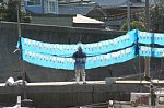 61231075.jpg
