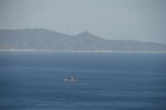 80102271.jpg