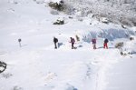80205298.jpg