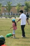 80517163.jpg