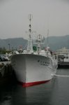 80610276.jpg