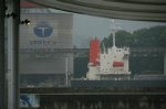 80610280.jpg