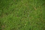 80702008.jpg